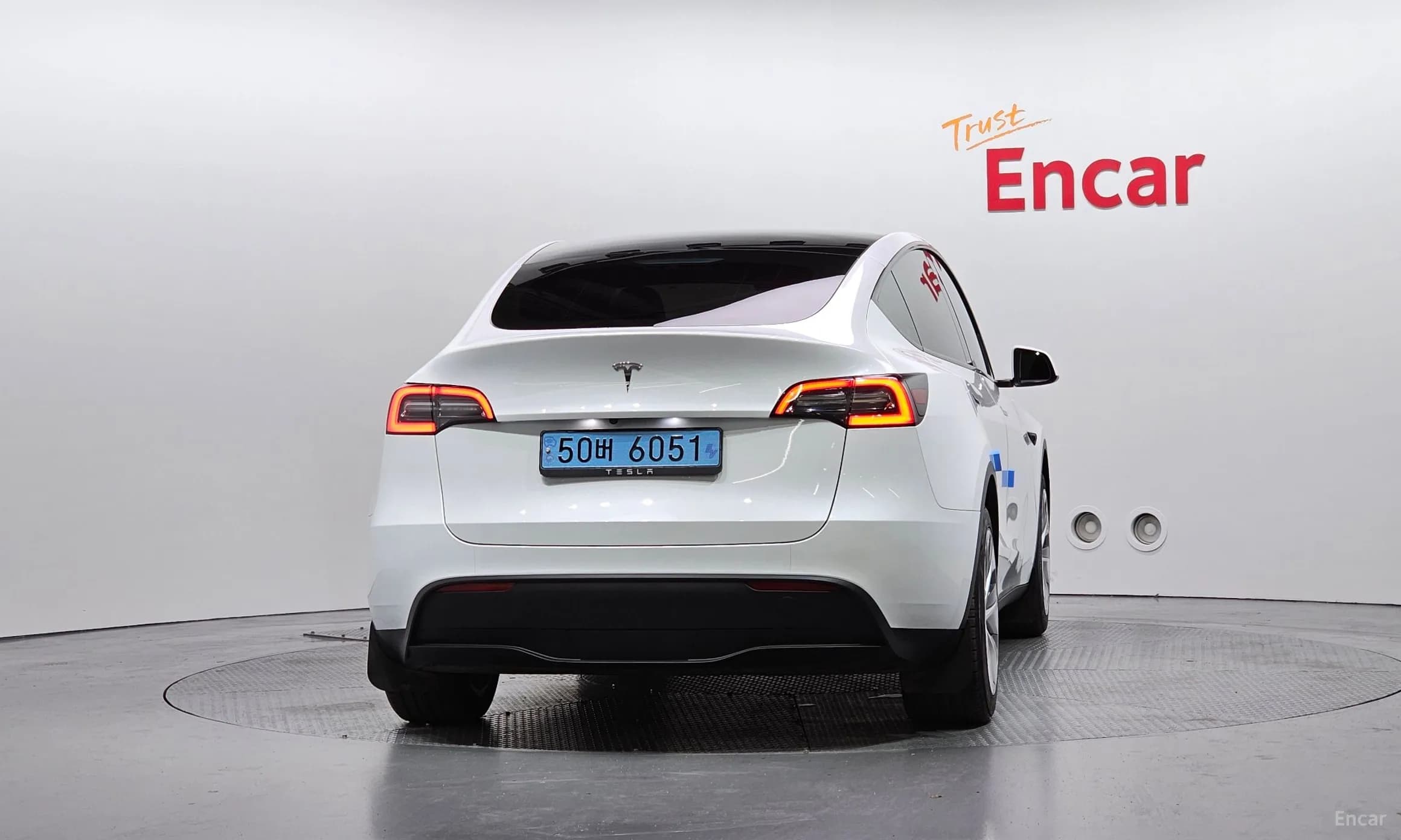 Model Y