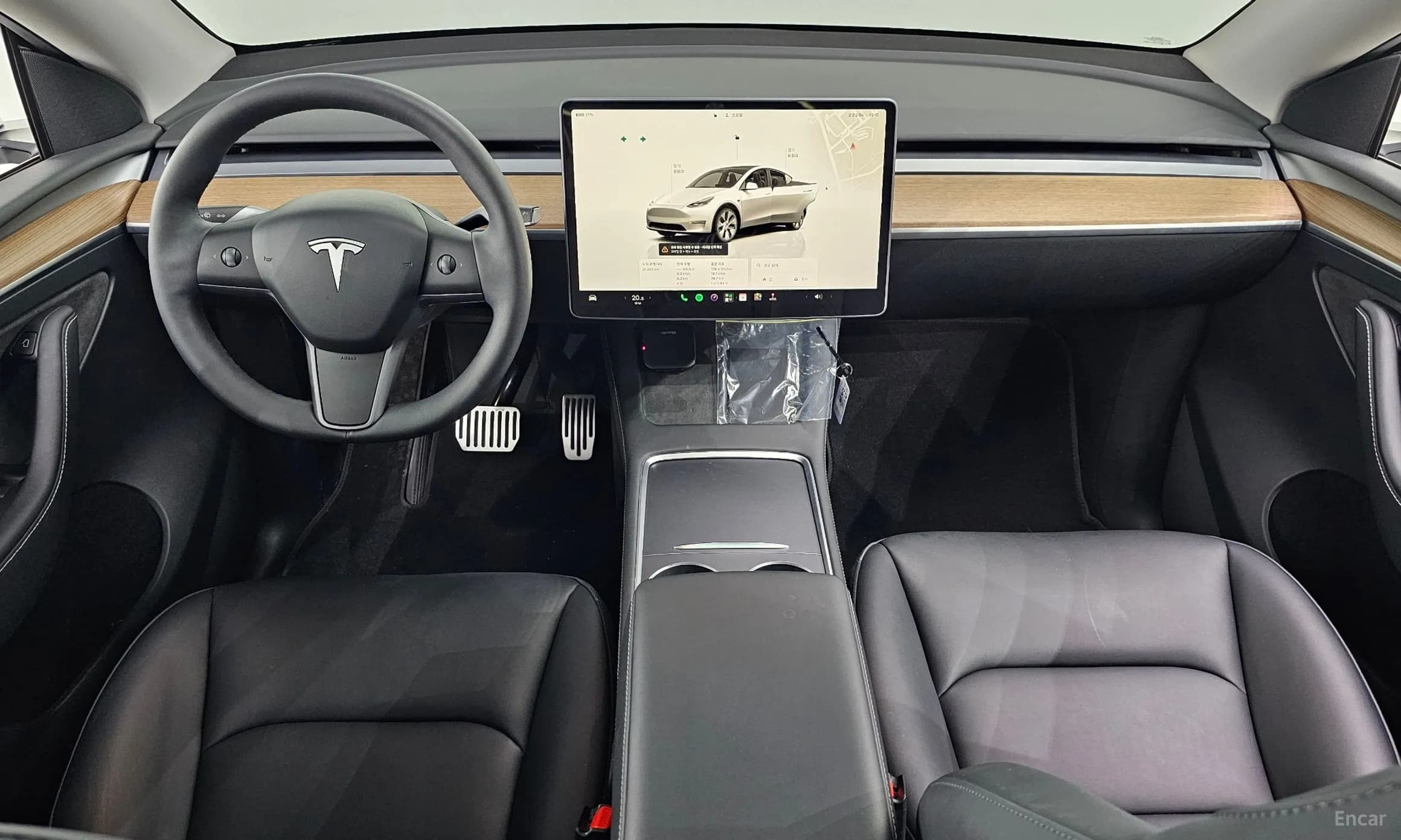 Model Y
