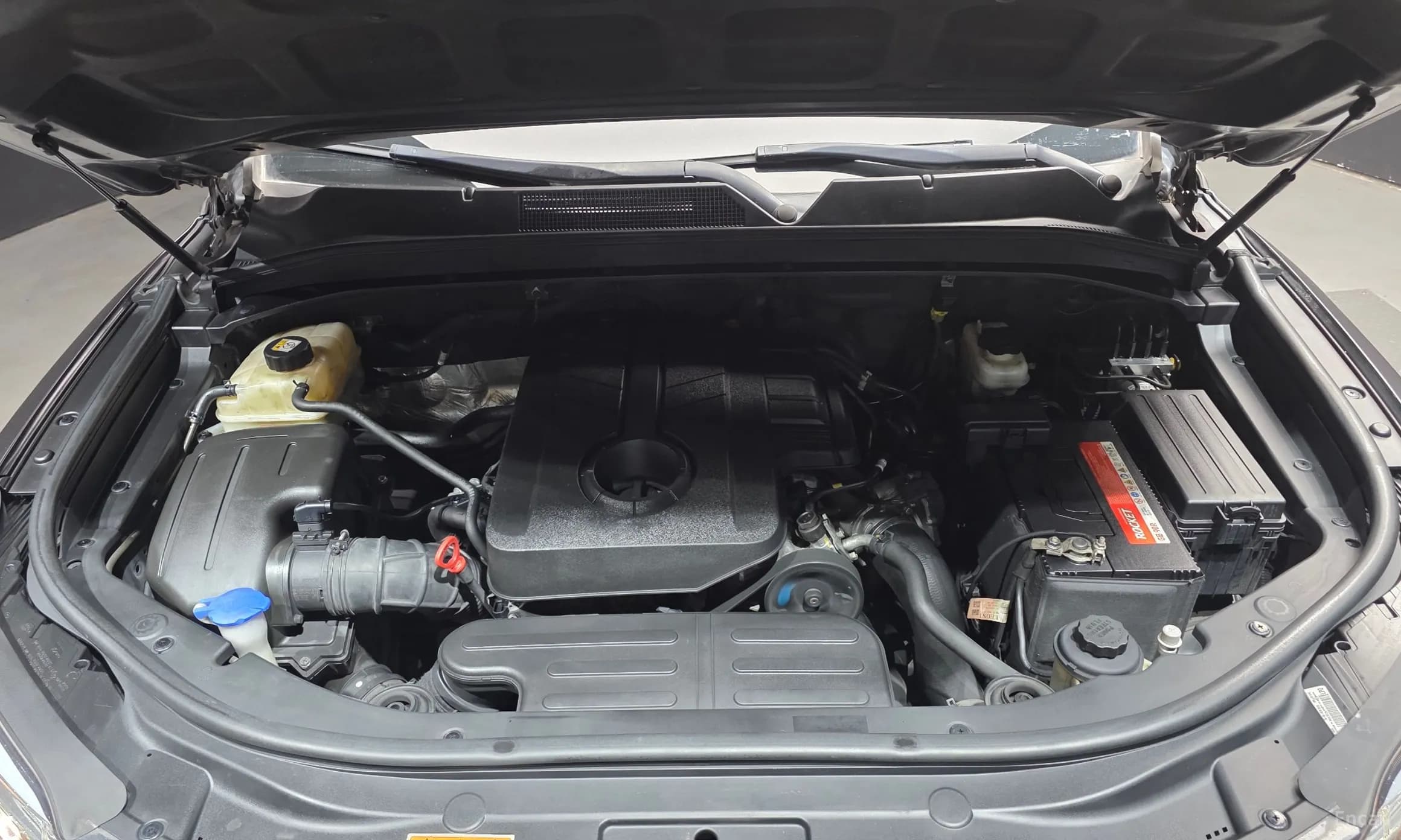 Rexton Sports
