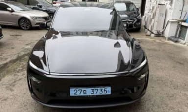 Model Y