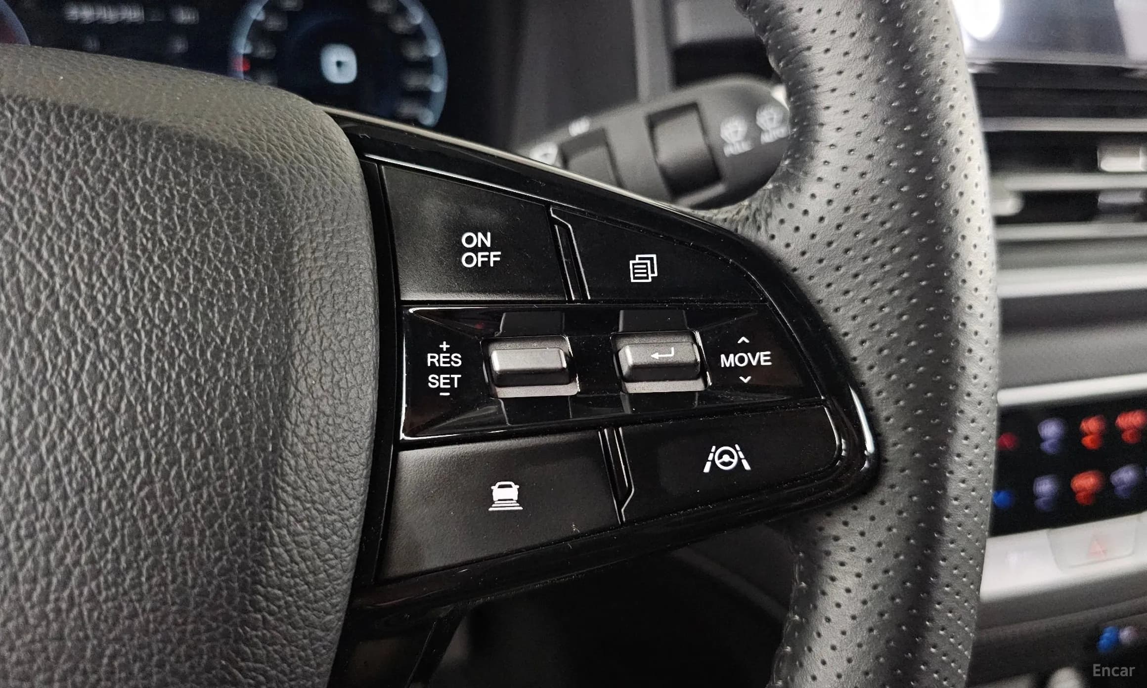 Rexton Sports