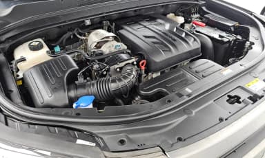 Rexton Sports
