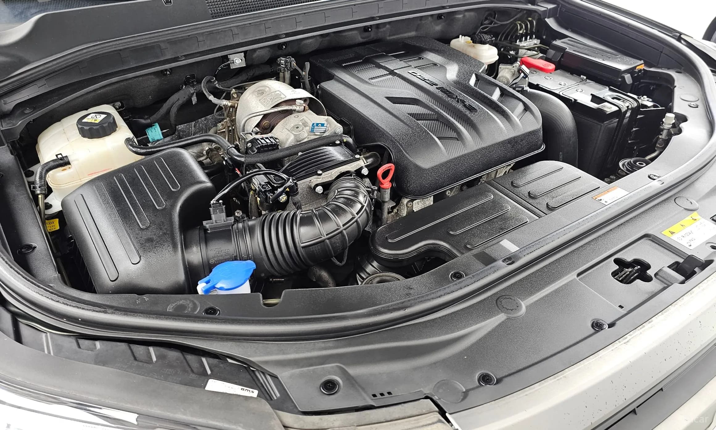 Rexton Sports