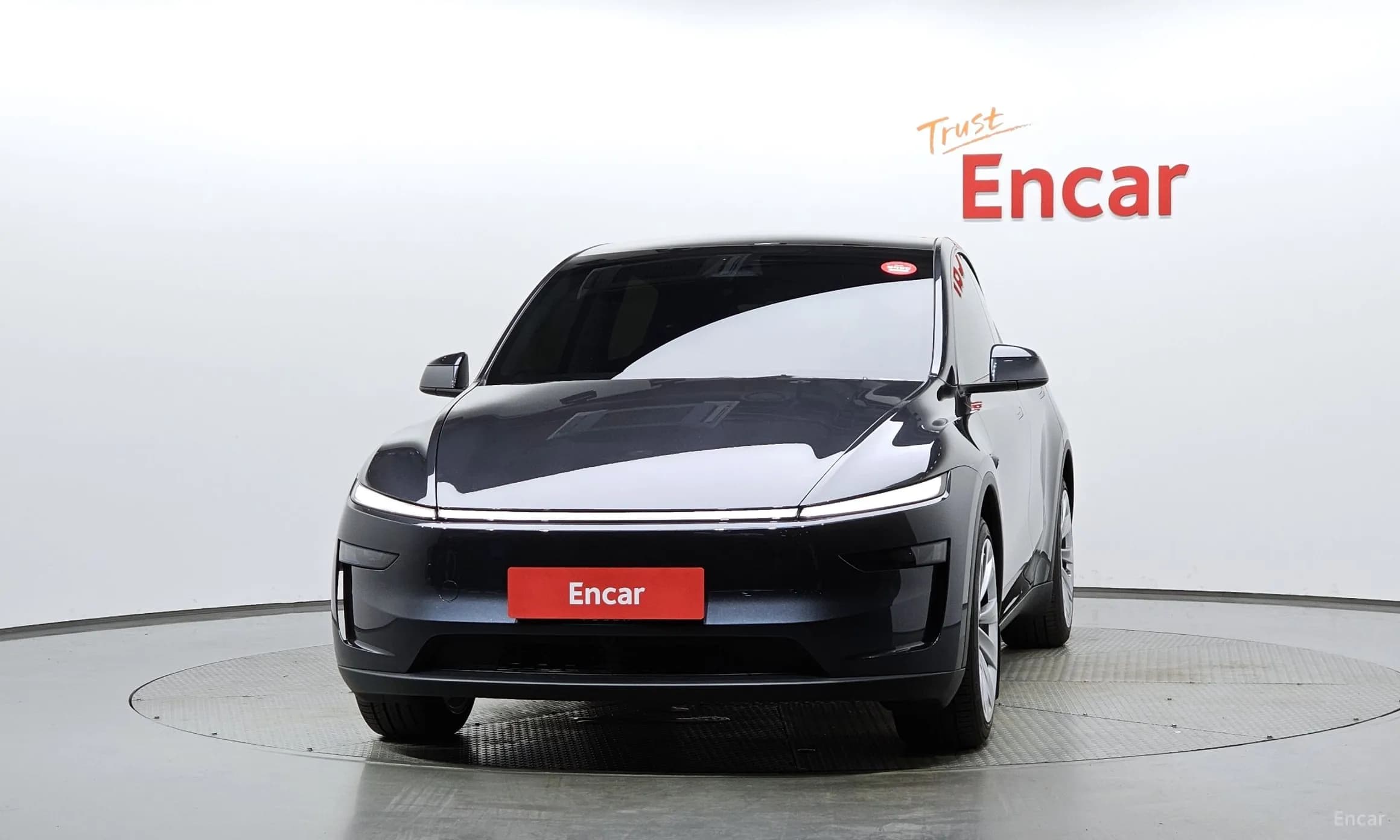 Model Y