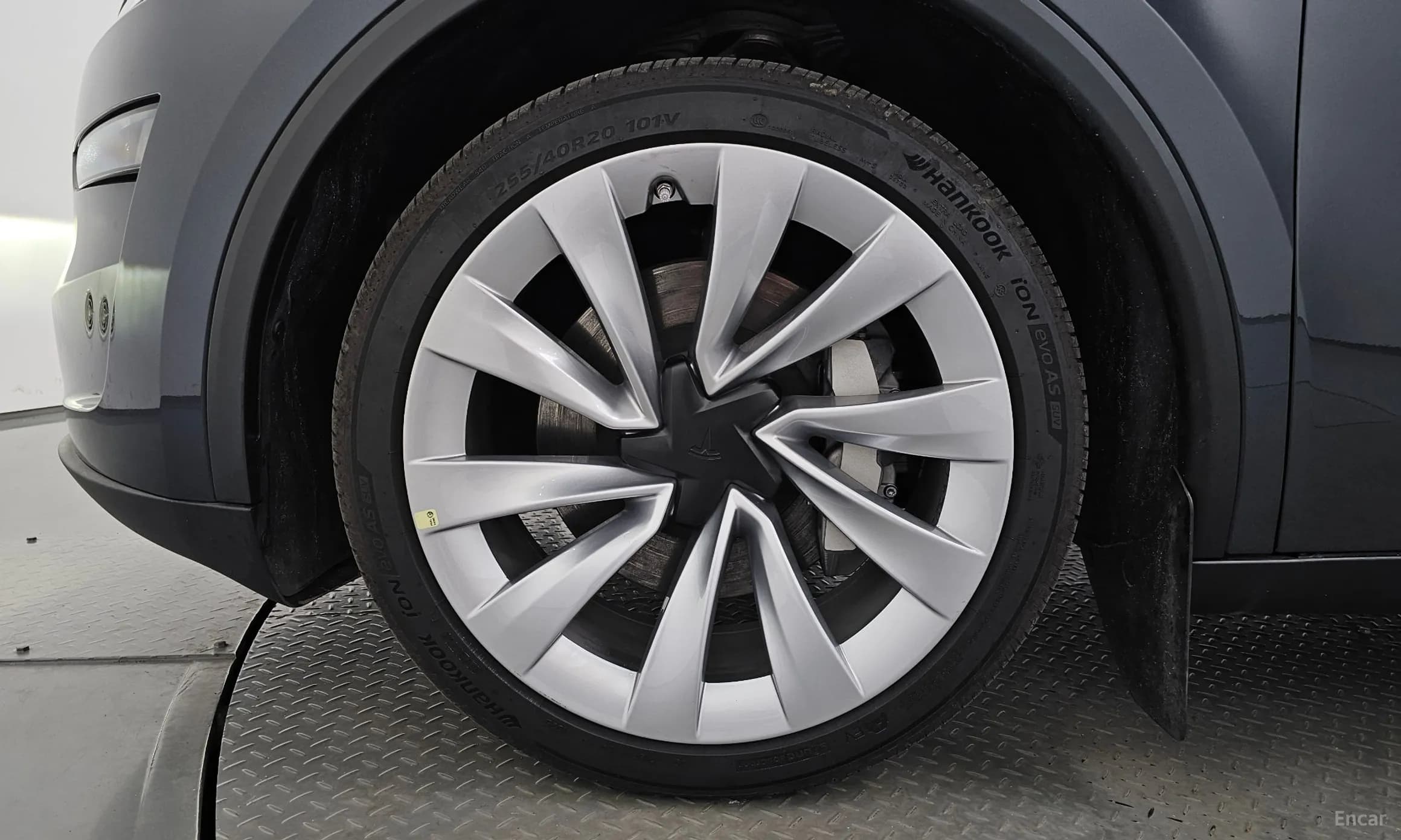 Model Y