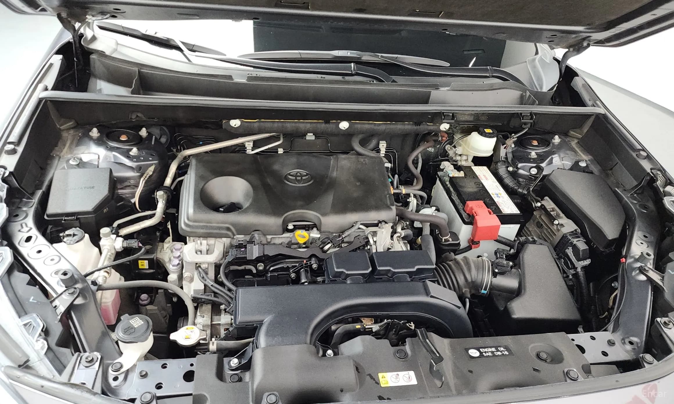 RAV4 5th Generation