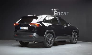 RAV4 5th Generation