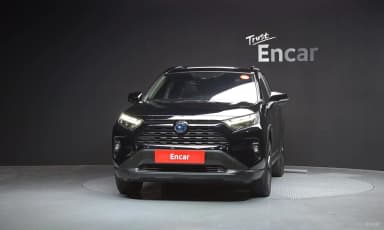 RAV4 5th Generation