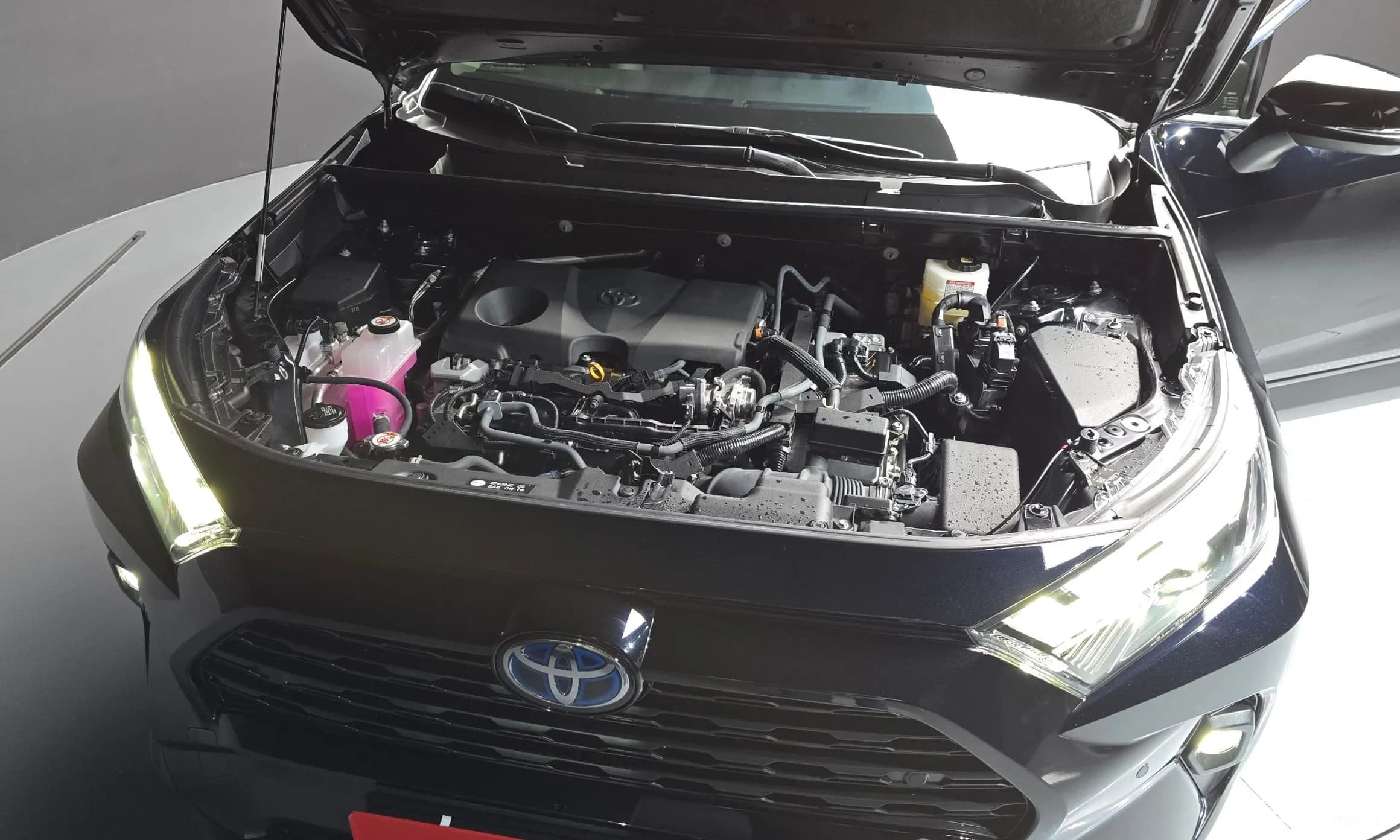 RAV4 5th Generation