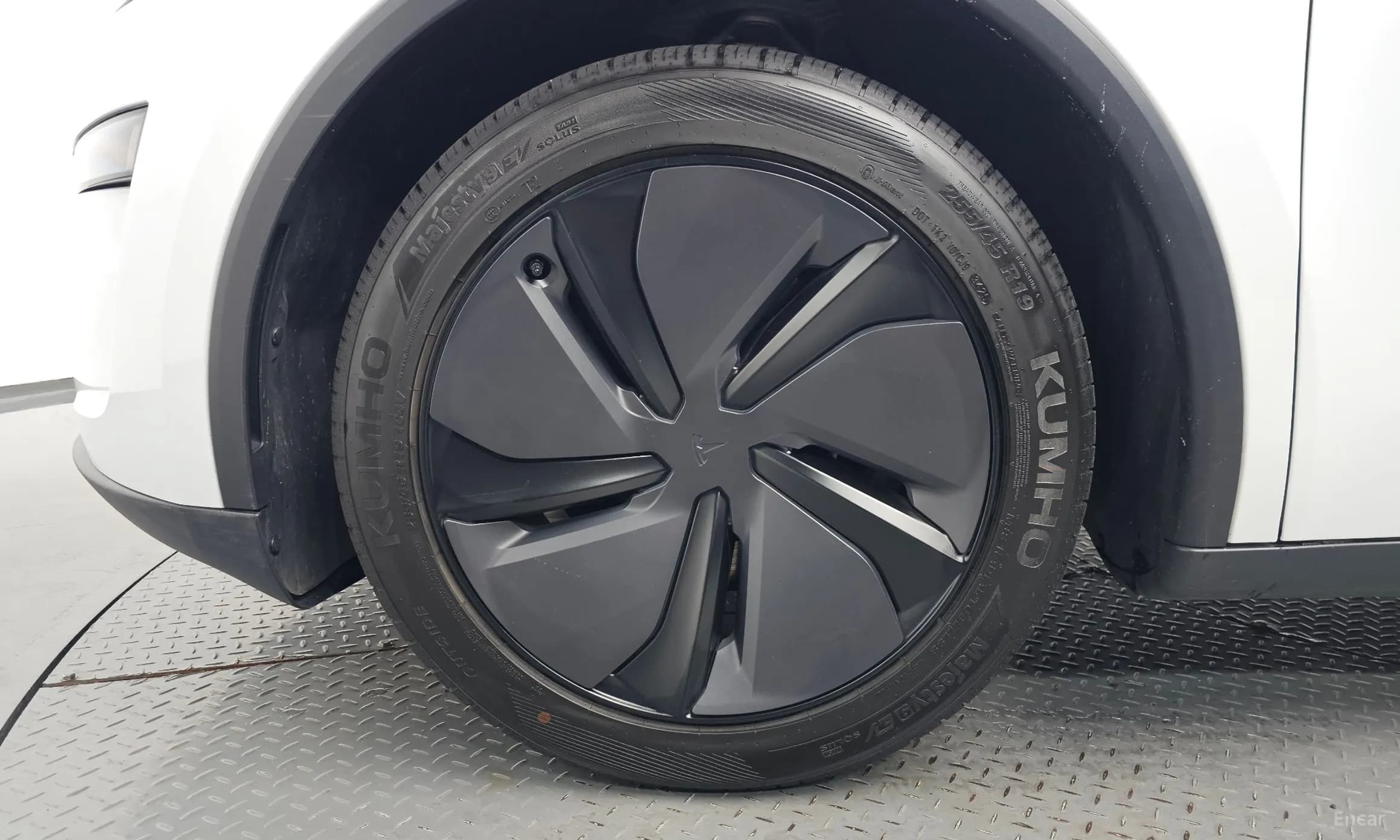 Model Y