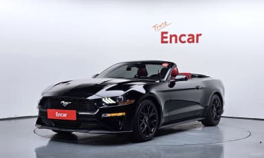 Mustang