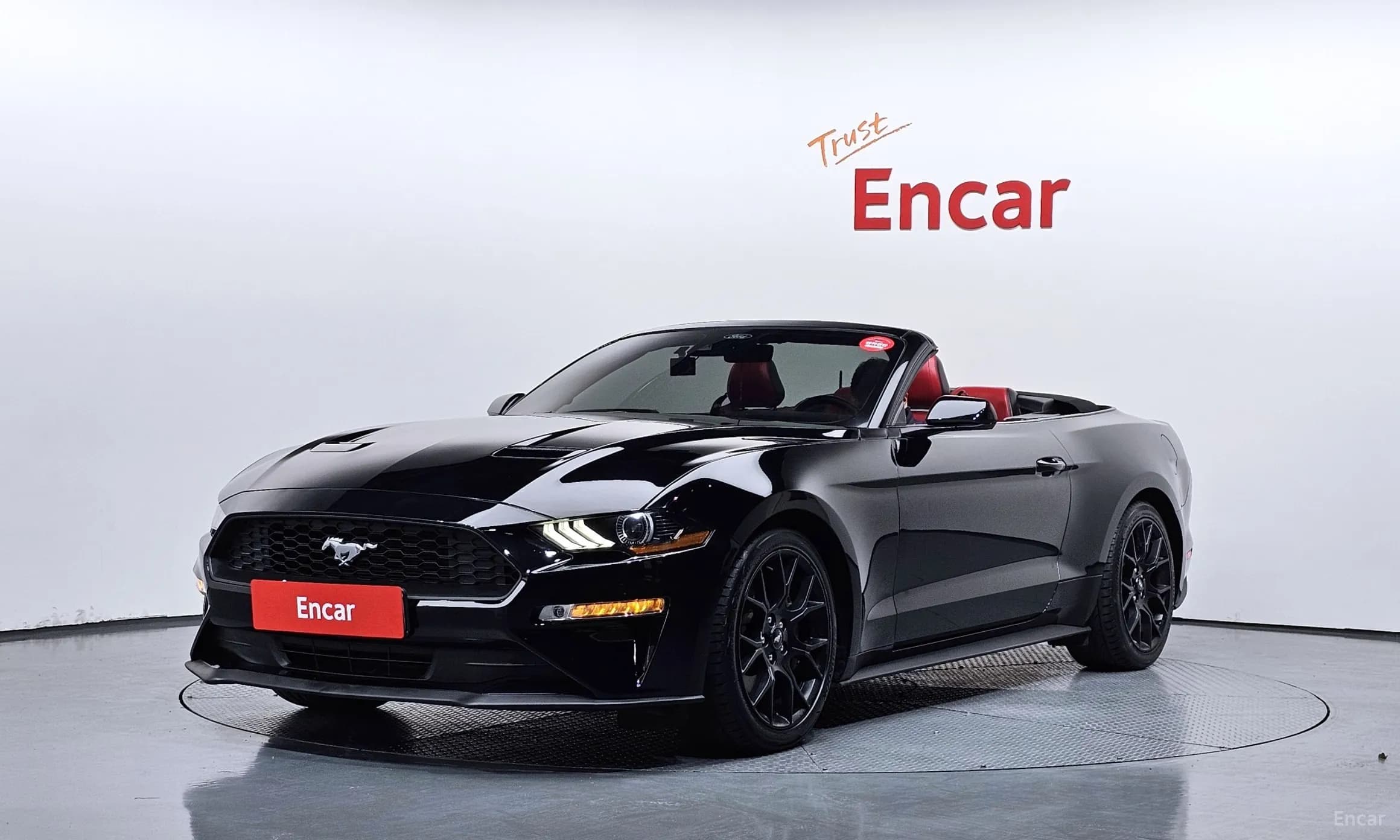 Mustang