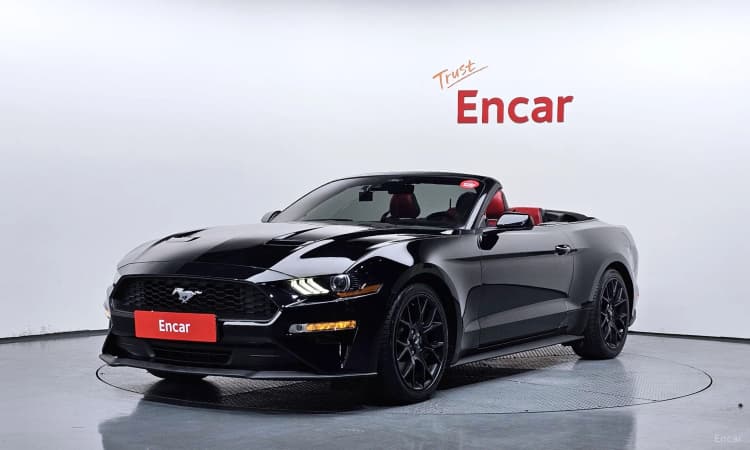 Mustang