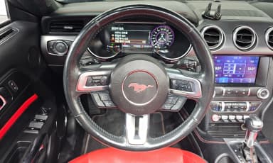 Mustang