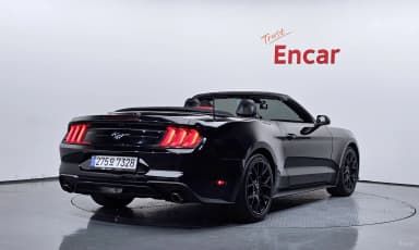 Mustang