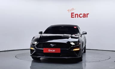 Mustang