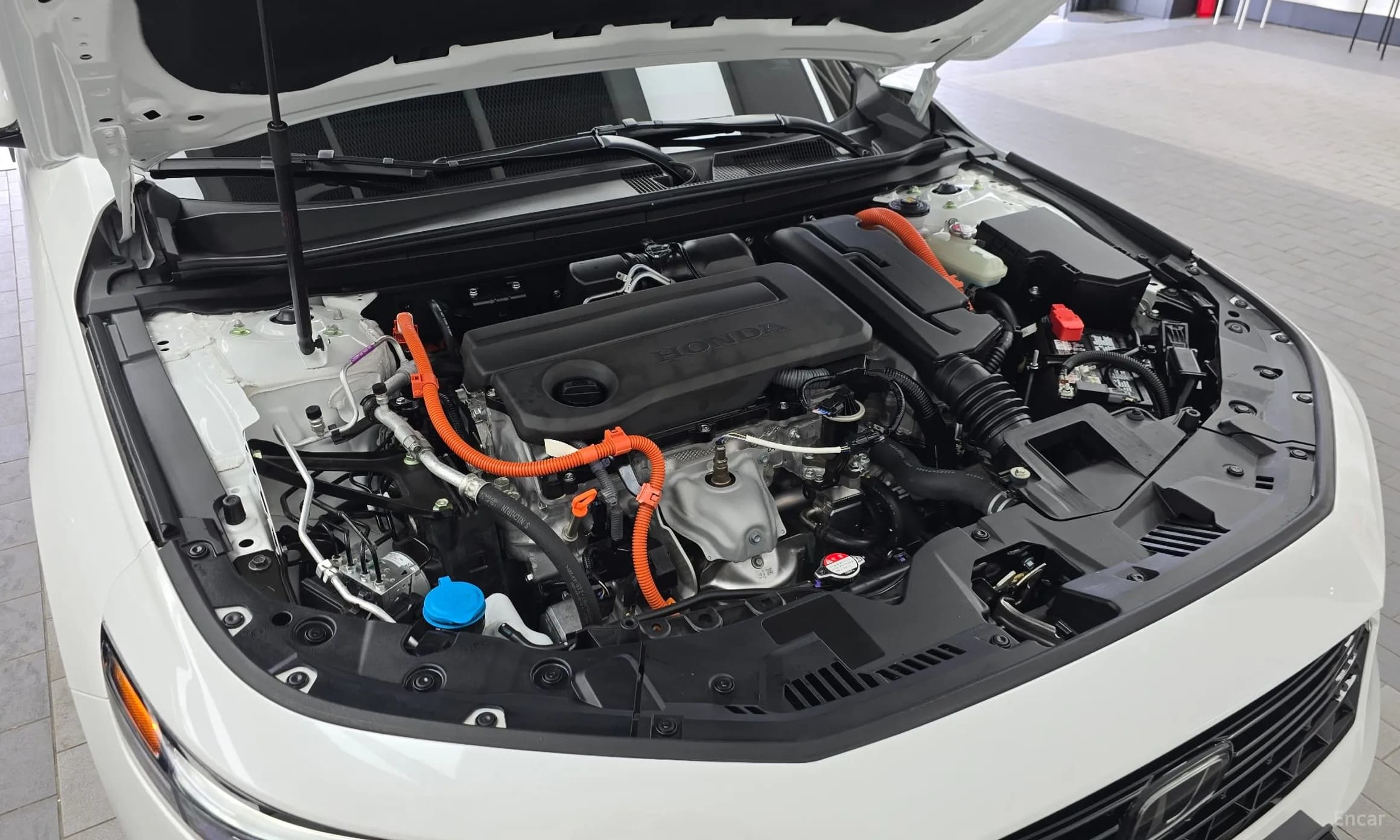 Accord 11th Generation