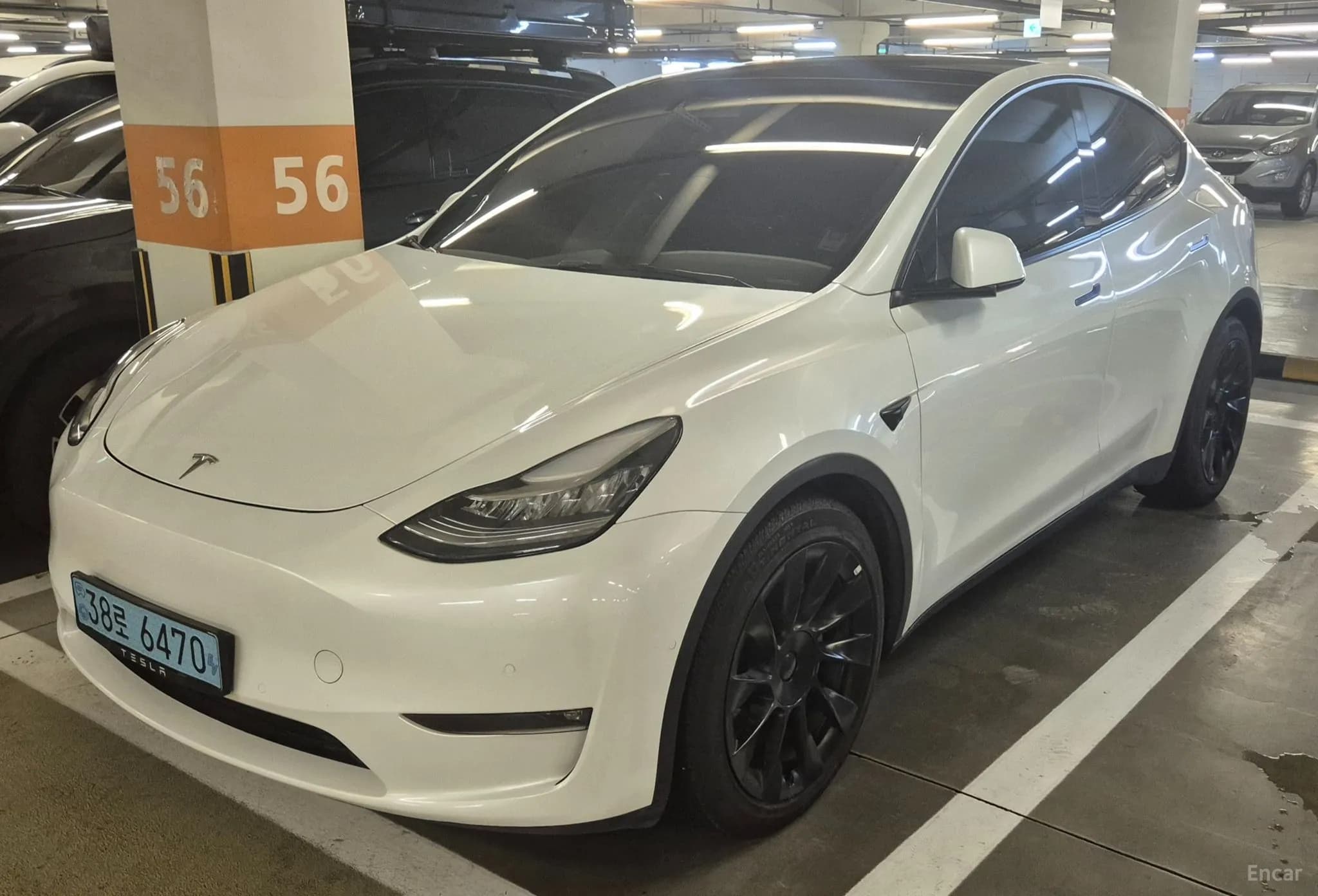 Model Y