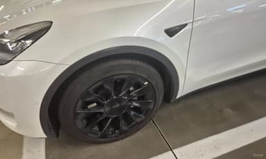 Model Y
