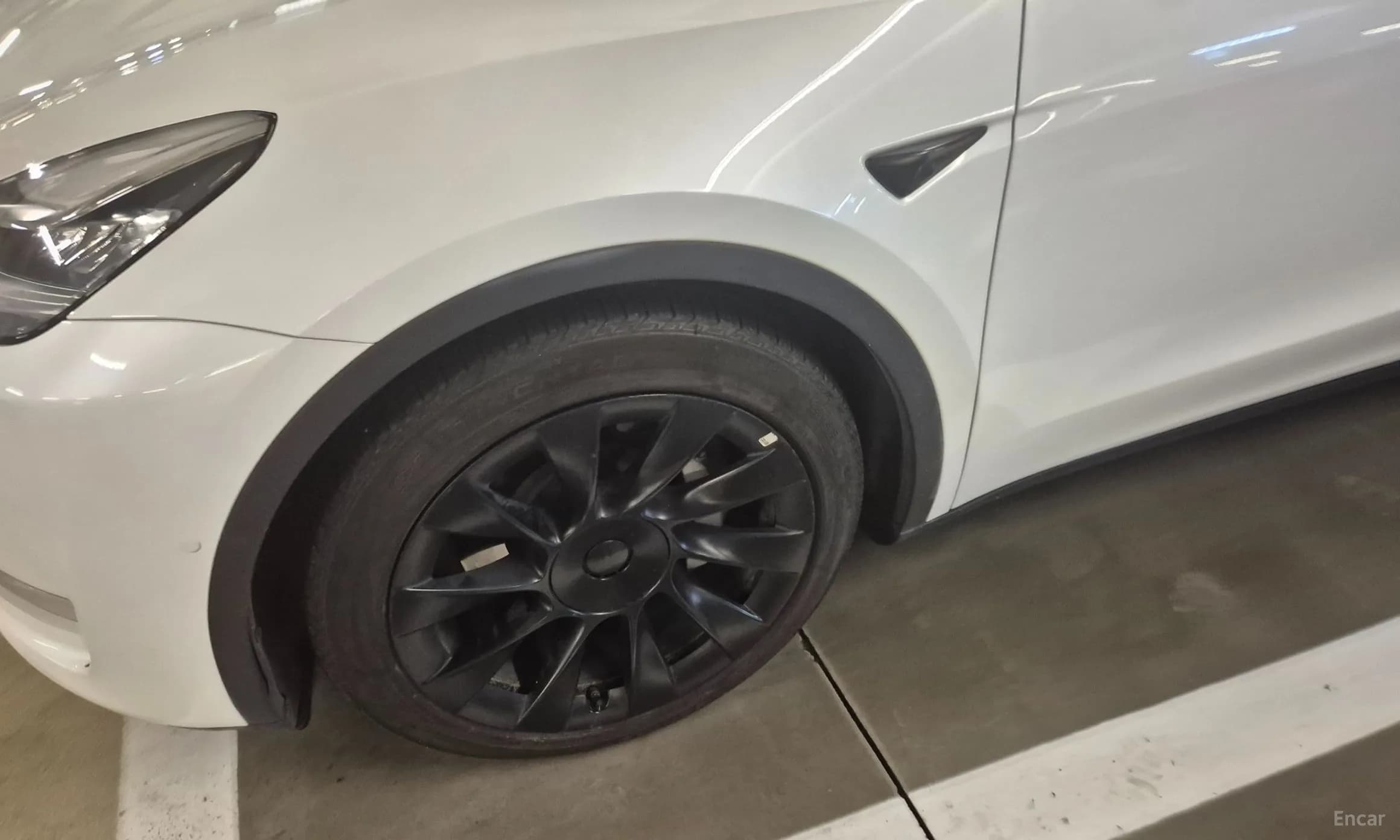 Model Y