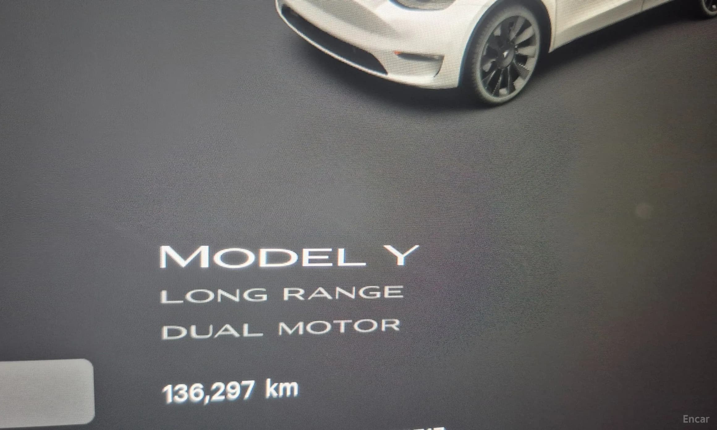 Model Y