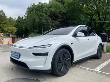 Model Y