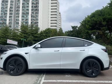Model Y