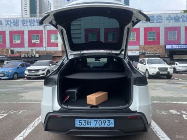 Model Y