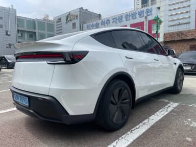Model Y