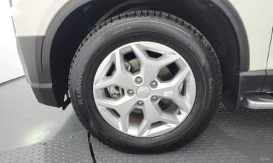 Rexton Sports