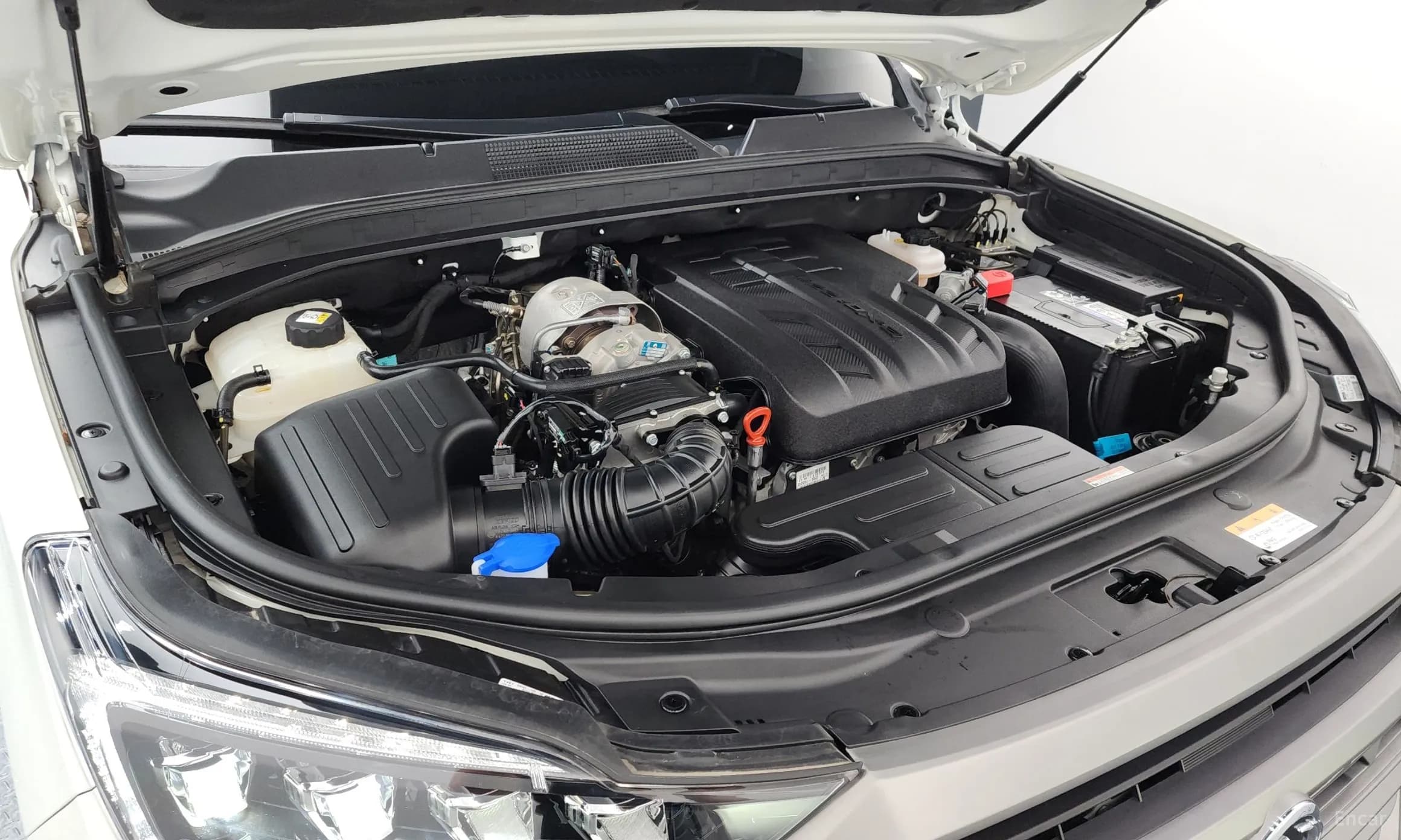 Rexton Sports
