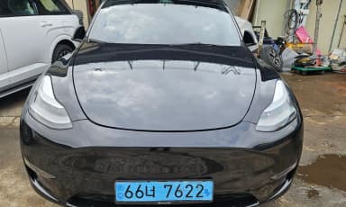 Model Y