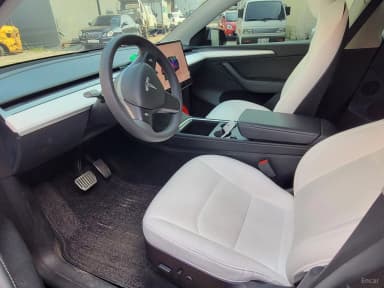 Model Y