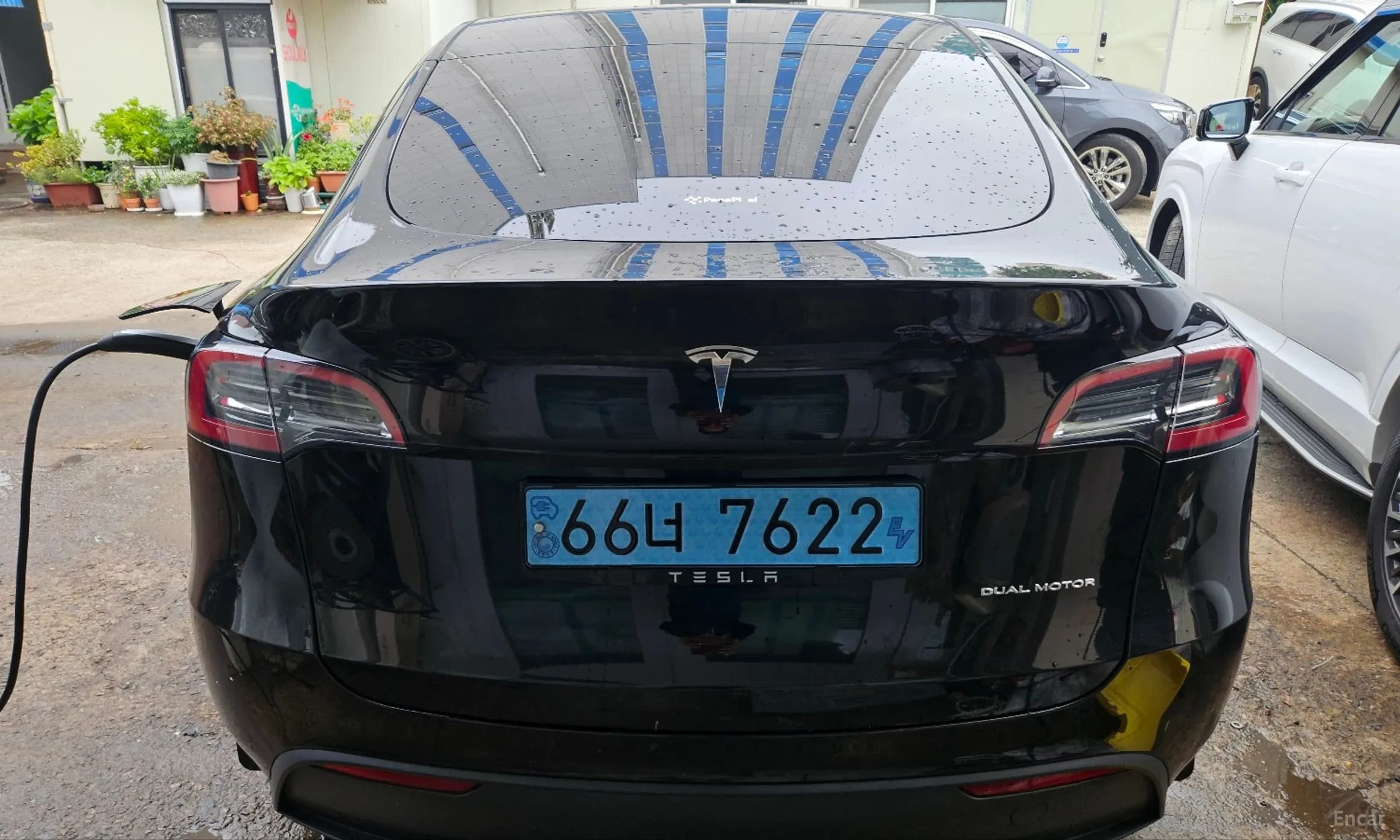 Model Y