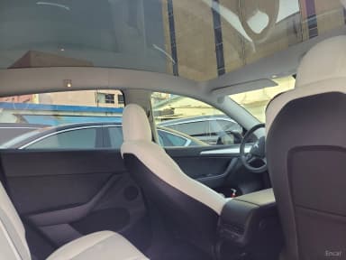 Model Y