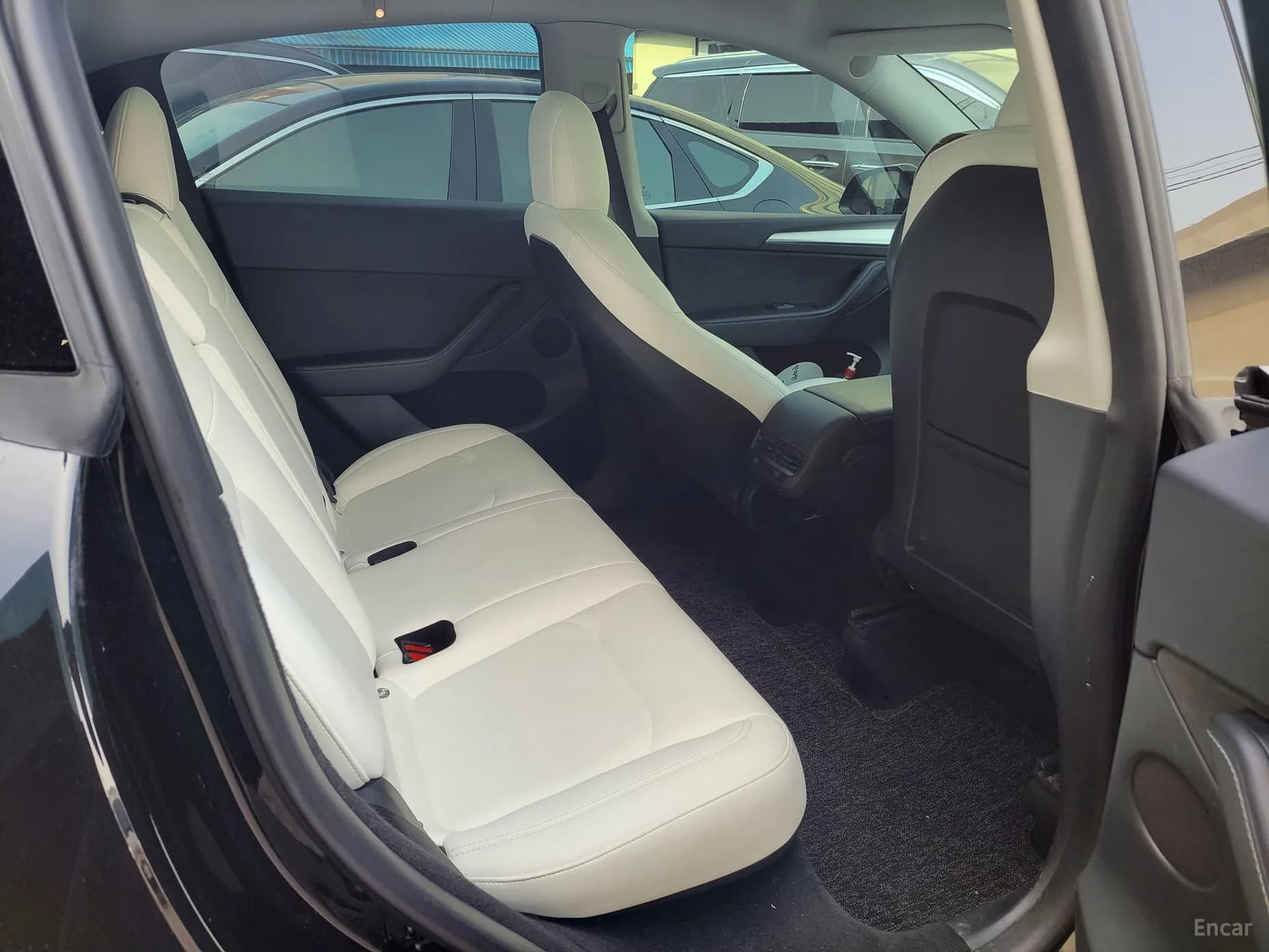 Model Y