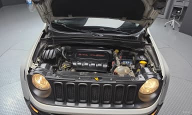 Renegade