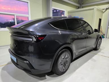Model Y