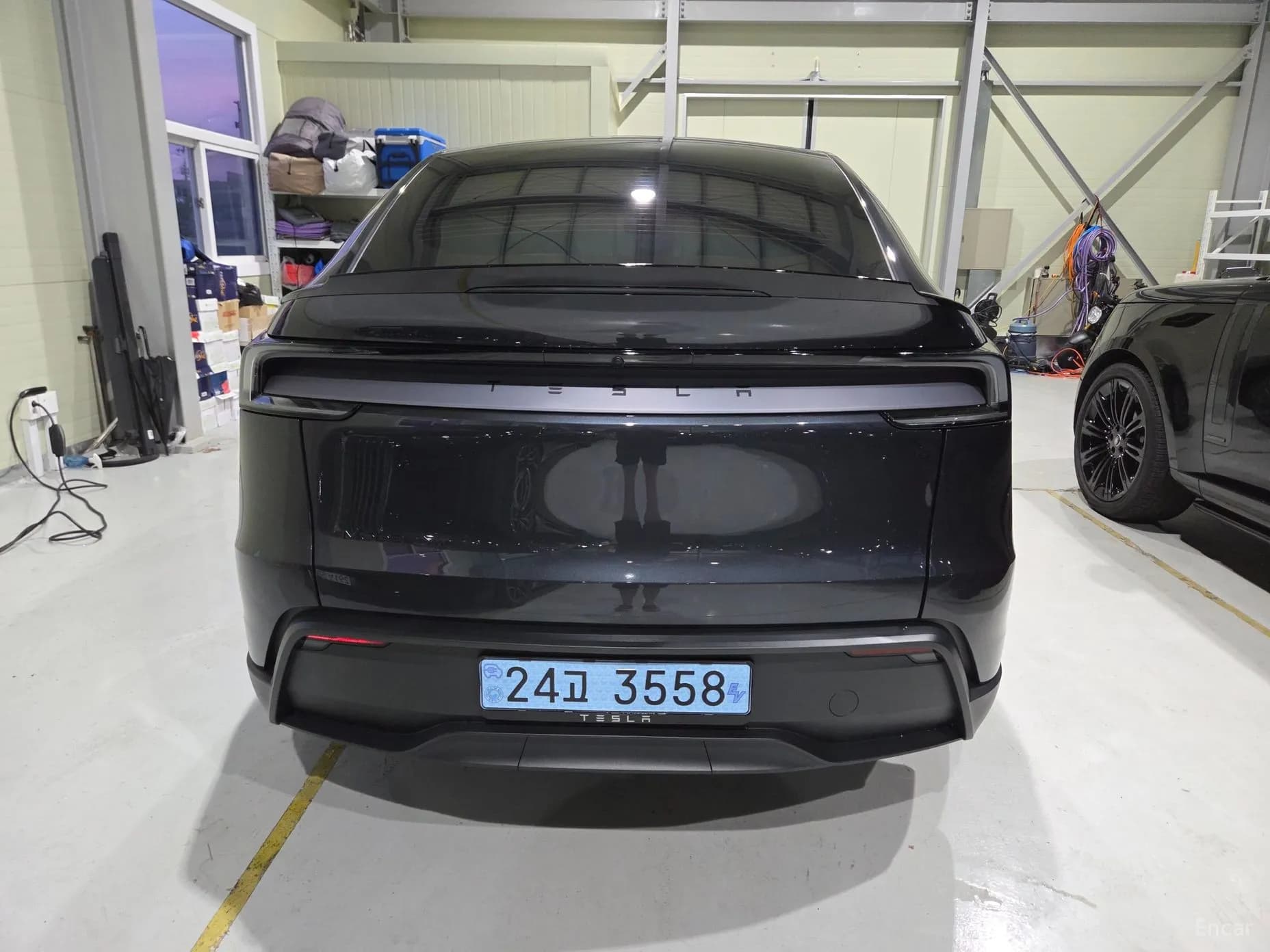 Model Y