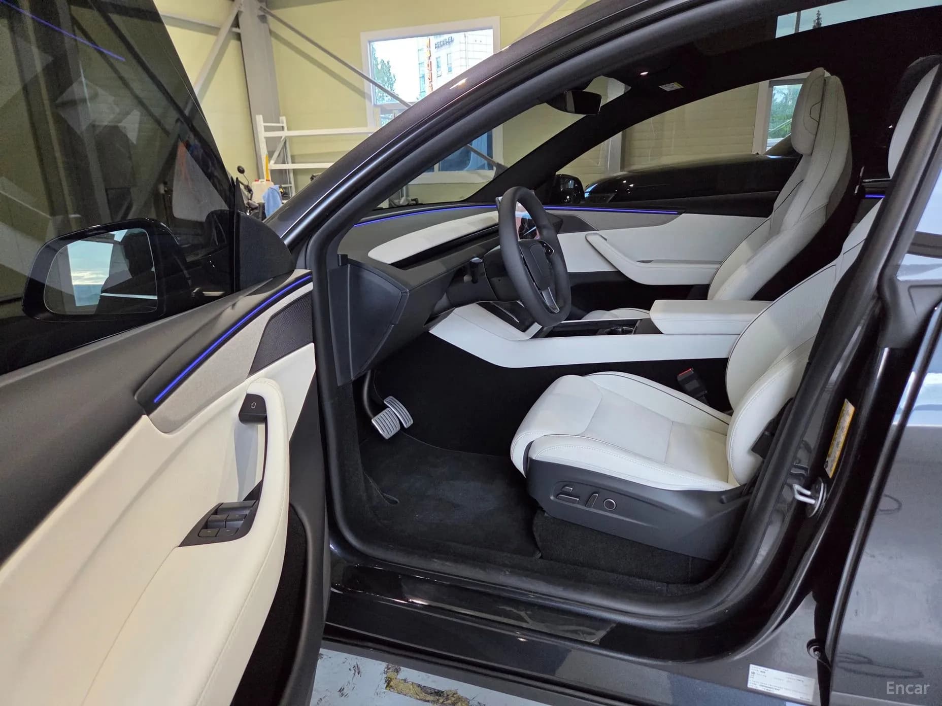 Model Y