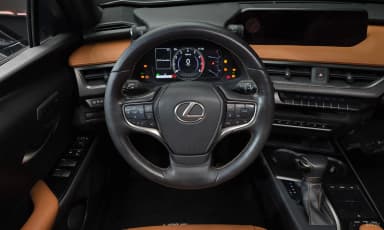 UX250h