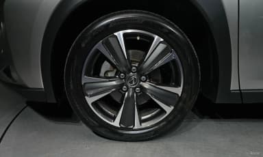 UX250h