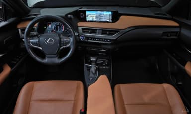 UX250h
