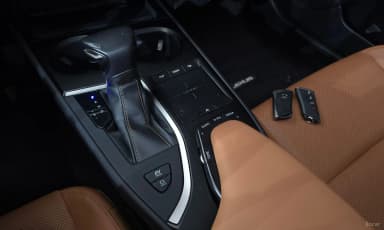 UX250h