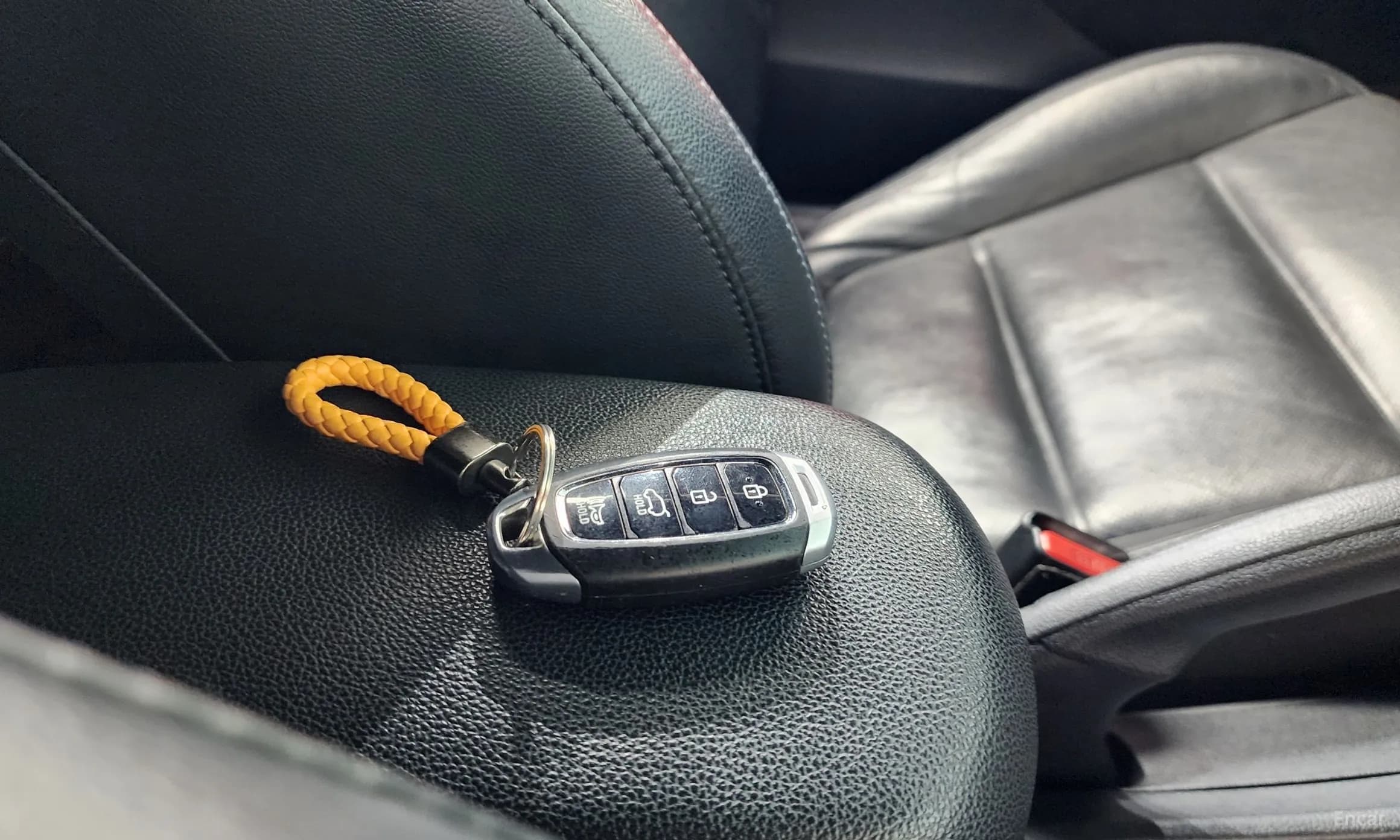 Veloster (JS)