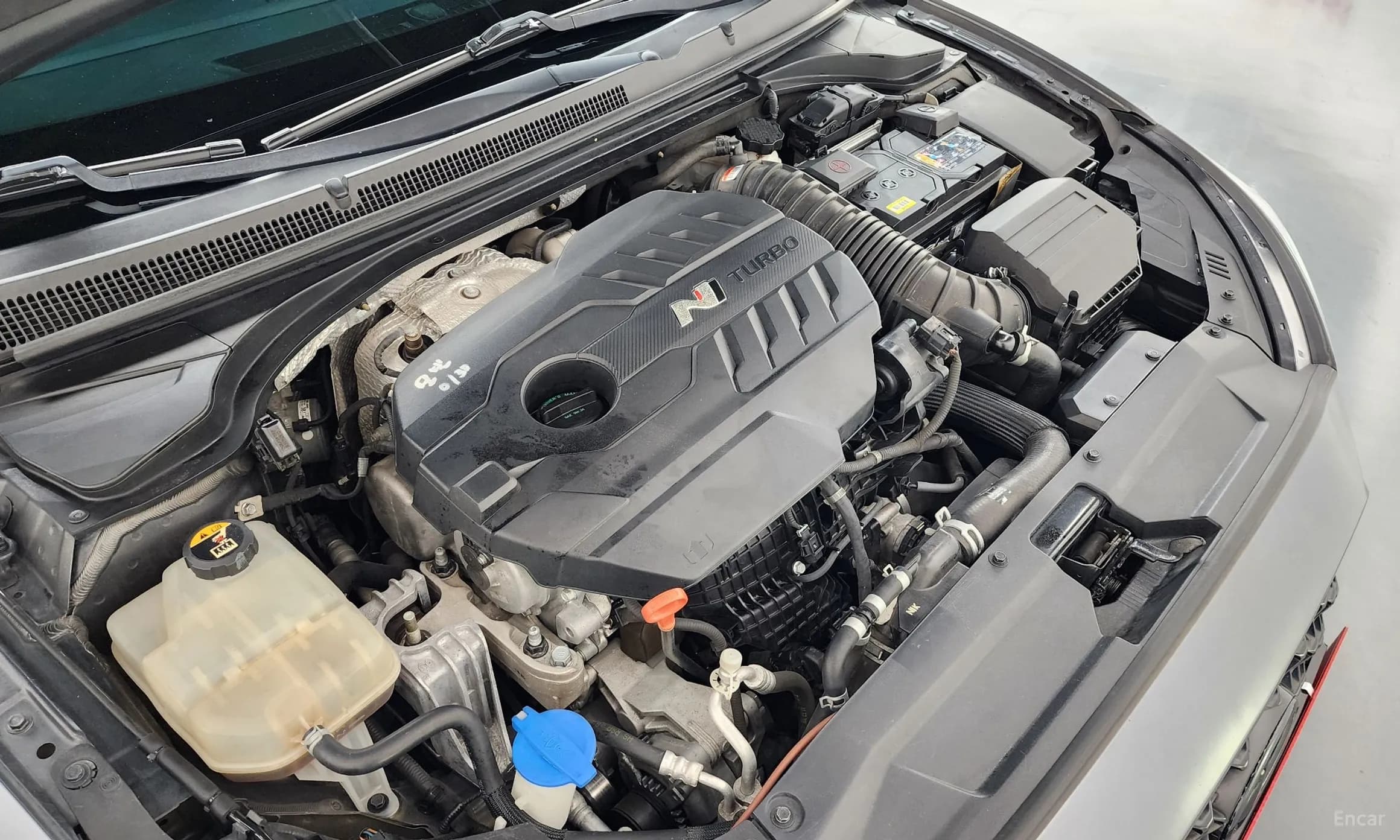 Veloster (JS)