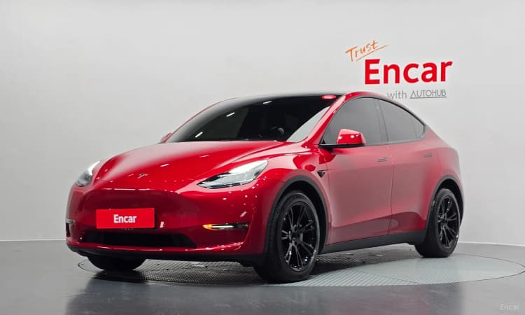 Model Y