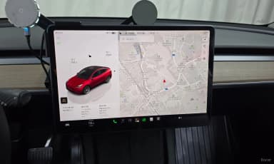Model Y
