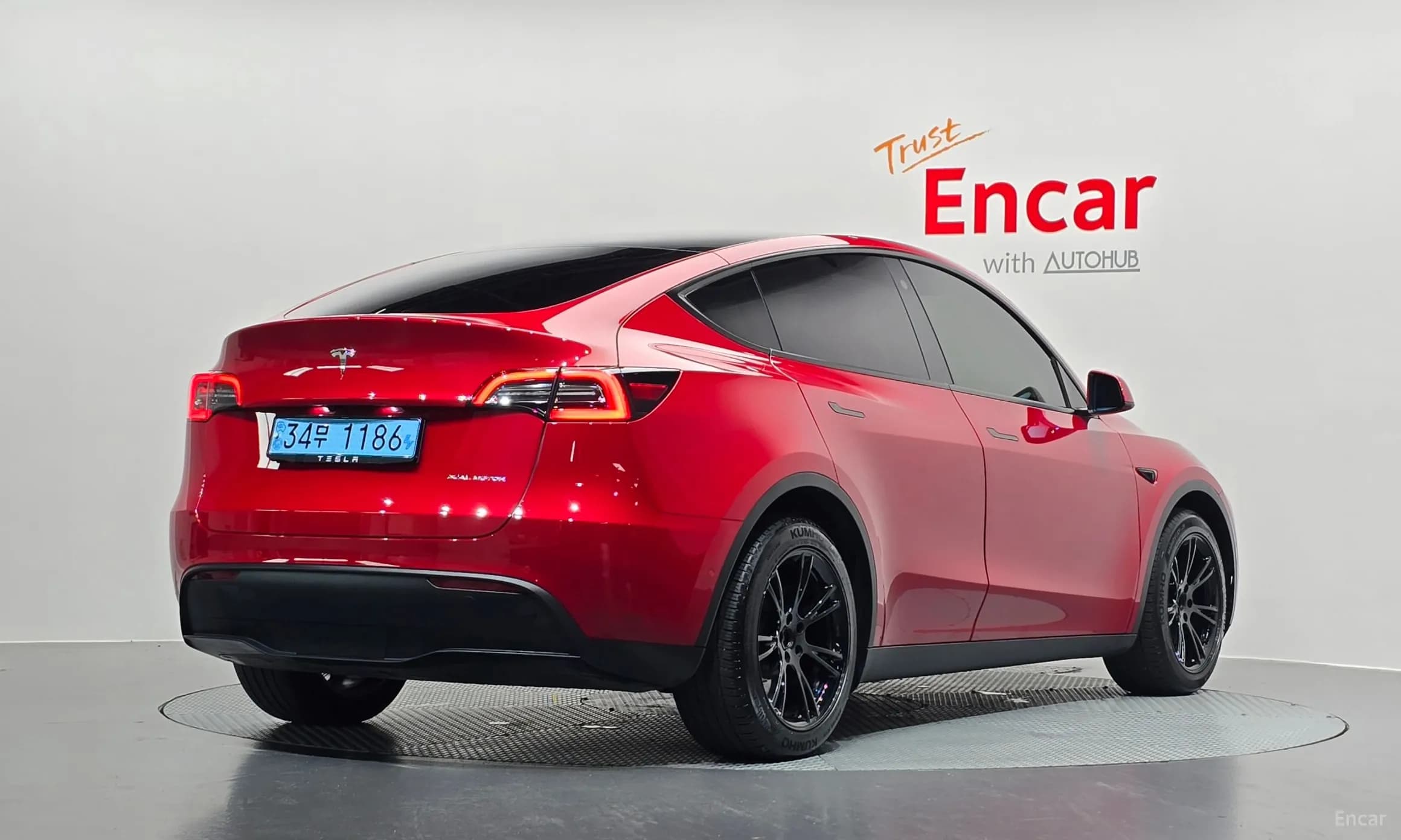 Model Y
