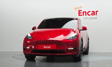 Model Y